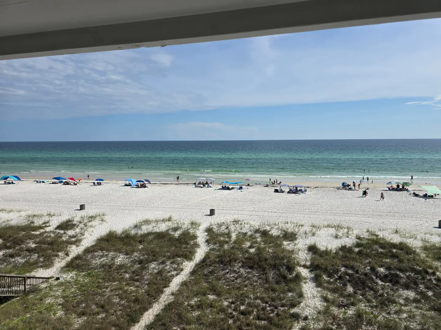 8e20ba8014291bc84156819e36e15f65